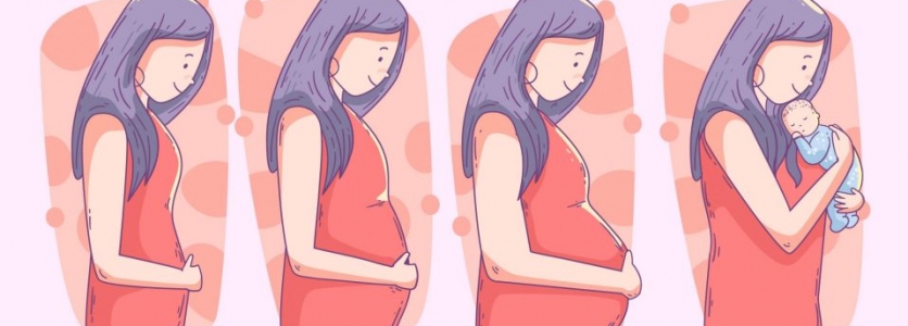 Gebelik Belirtileri, Gebelik Hesaplama