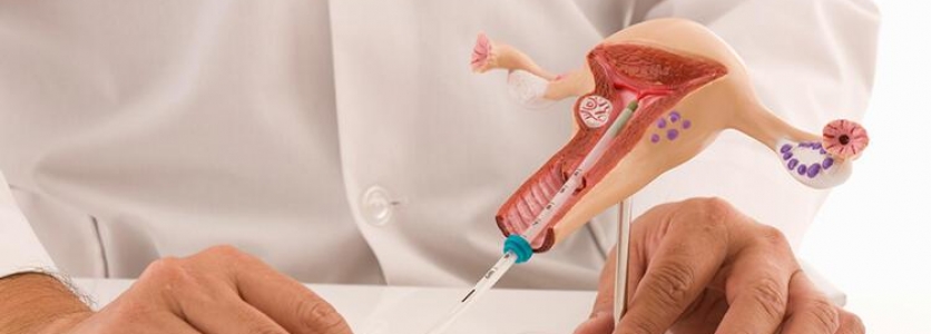 Labioplasti Estetiği Nedir?