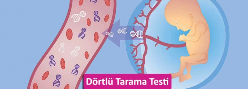 Gebelikte Dörtlü Tarama Testi