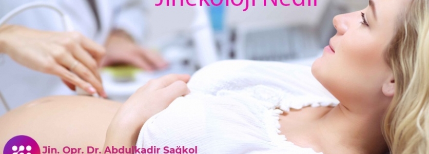 Jinekoloji Nelerdir?